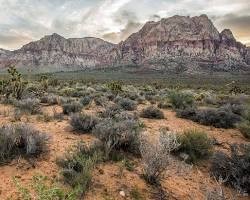 Red Rock National Conservation Area Summerlin Nevada
